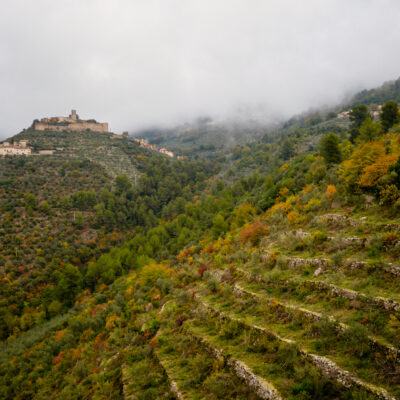 Copy of 1763DJI_0498 Copy of 1763DJI_0498